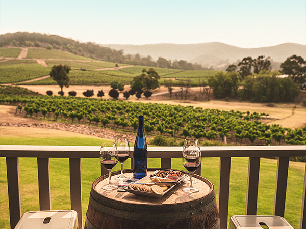 How the Hunter Valley Became Australia’s Wine & Horse Powerhouse