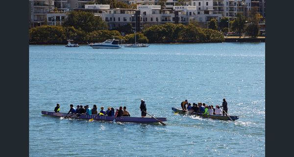 Rhodes Bay By Billbergia
