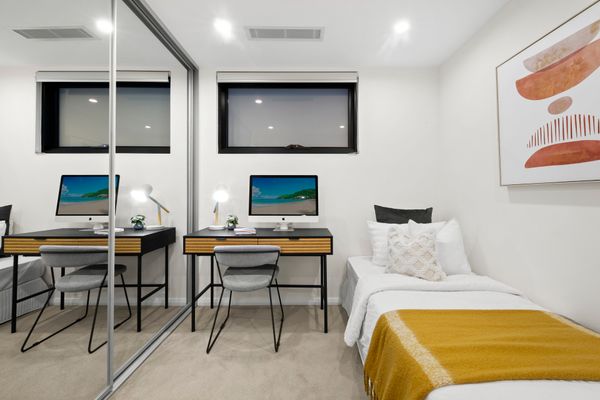 Morning Star -Auburn