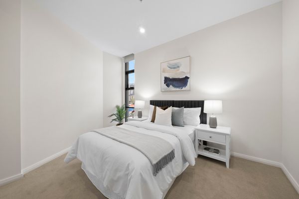 Morning Star -Auburn